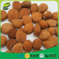 2016 new crop bulk bitter apricot kernels